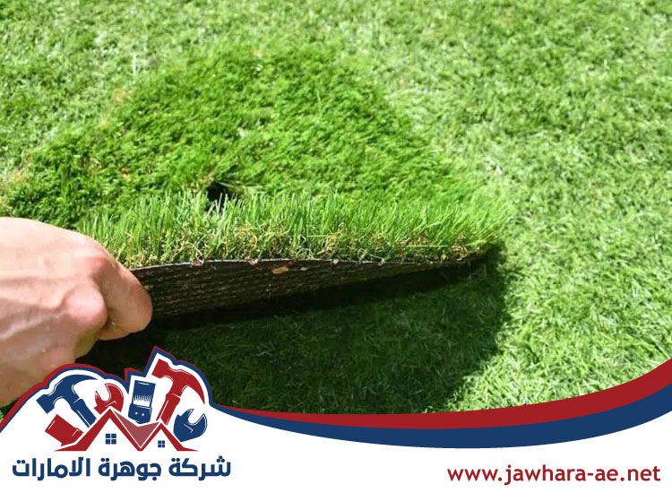 تركيب عشب صناعي الشهامة