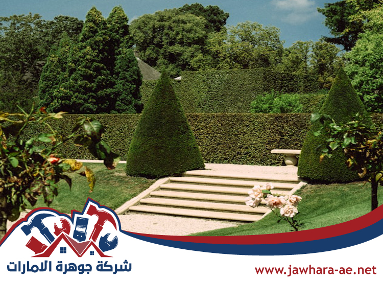 شركة لاند سكيب في عجمان 5 شركة لاند سكيب في عجمان