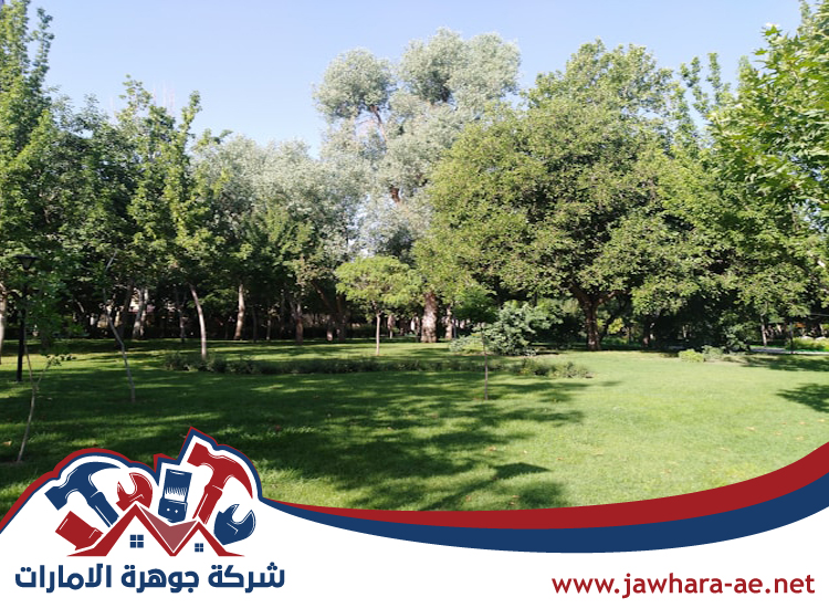 شركة لاند سكيب في عجمان 4 شركة لاند سكيب في عجمان