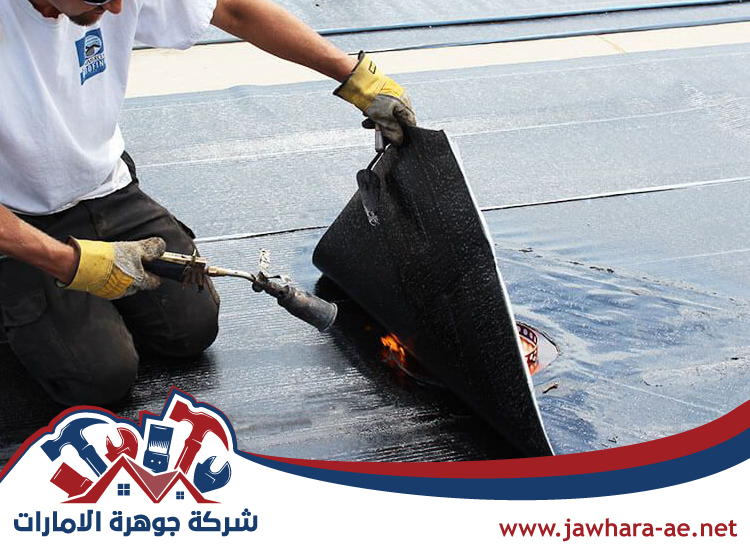 شركة عزل أسطح في العين