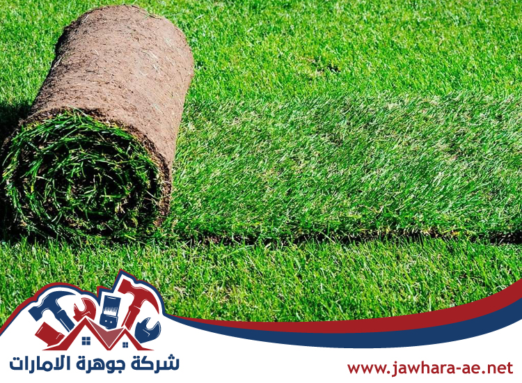 تركيب عشب صناعي الروضة